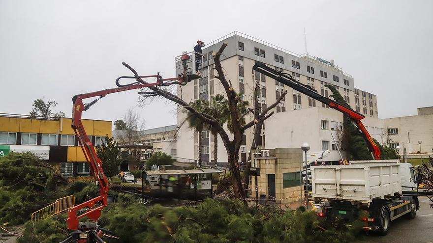 Un tornado deja un reguero de incidencias en el entorno del hospital Reina Sofía