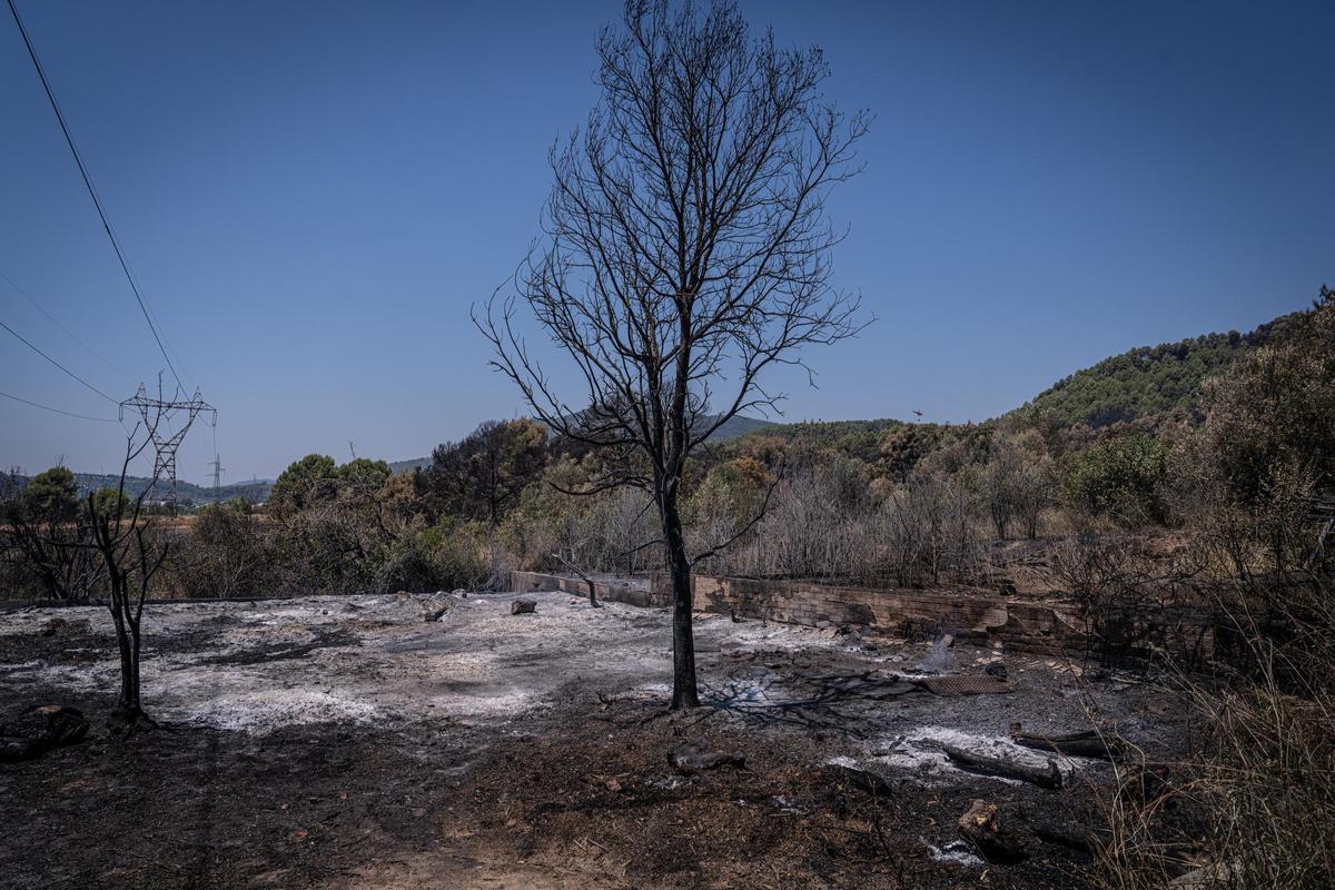Columna de humo visible durante el incendio forestal de Sentmenat, cuyo avance ha movilizado un amplio dispositivo de emergencias