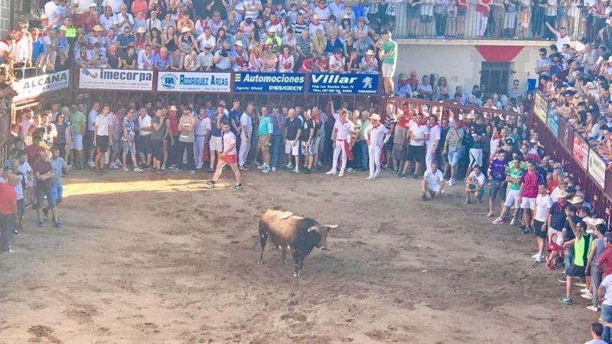 Coria suspende los Sanjuanes 2020 y las fiestas taurinas de las pedanías