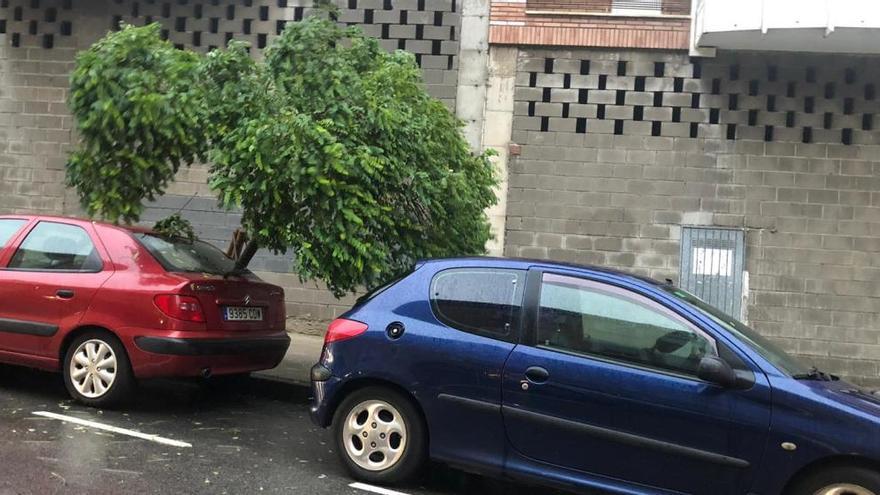 Un árbol tumbado sobre un vehículo en la calle de La Goleta de Avilés.