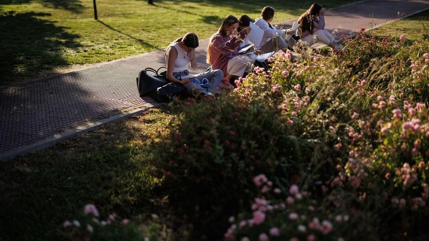 Varios estudiantes repasan sus apuntes antes de iniciar los exámenes de la Evaluación de Acceso a la Universidad. | | ALEJANDRO MARTÍNEZ VÉLEZ / EUROPA PRESS