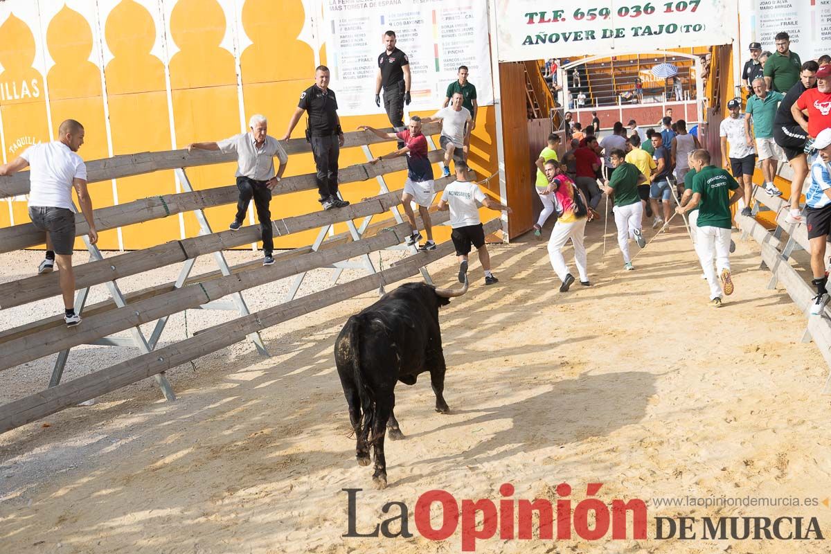 Quinto encierro de la Feria Taurina del Arroz en Calasparra