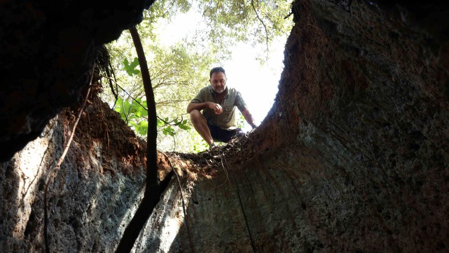 Descobertes al bosc de Bàscara: forns de teules, de calç i carboneres