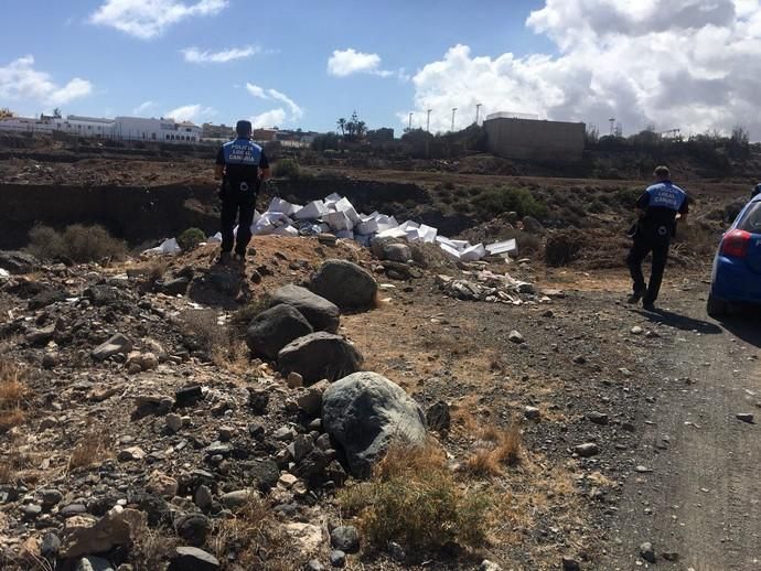 Arrojan más de 10.000 kilos de sardinas podridas a los barrancos de Tufia y Real