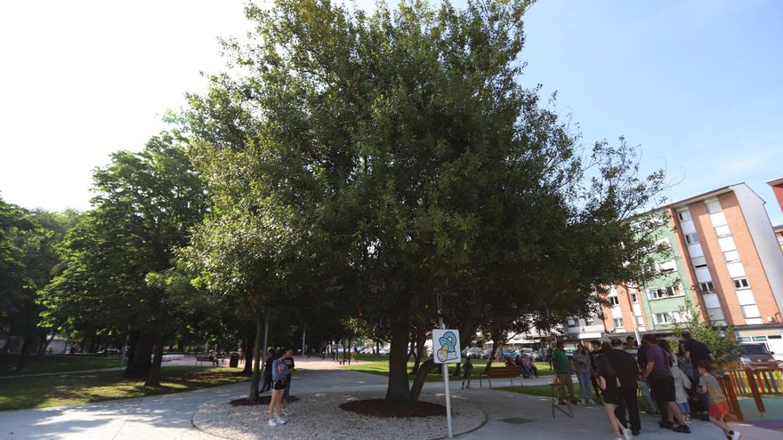 Versalles da color al parque con chupetes