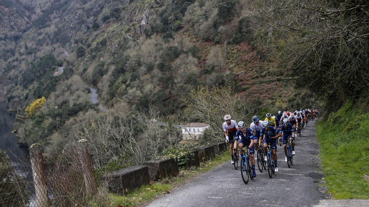 Los corredores ascienden uno de los puertos en la Ribeira Sacra. // Luis Gómez 