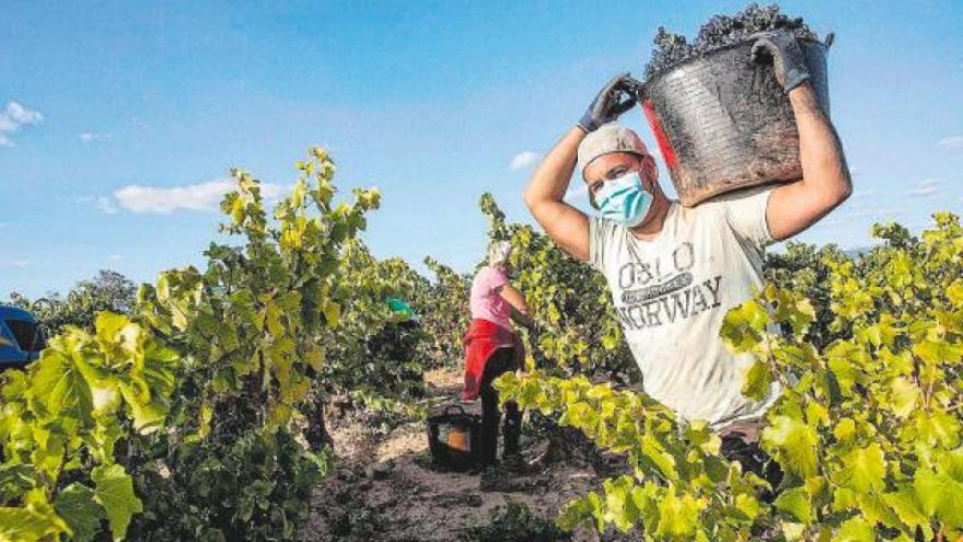 La contratación en agricultura e industria gana peso tras el verano