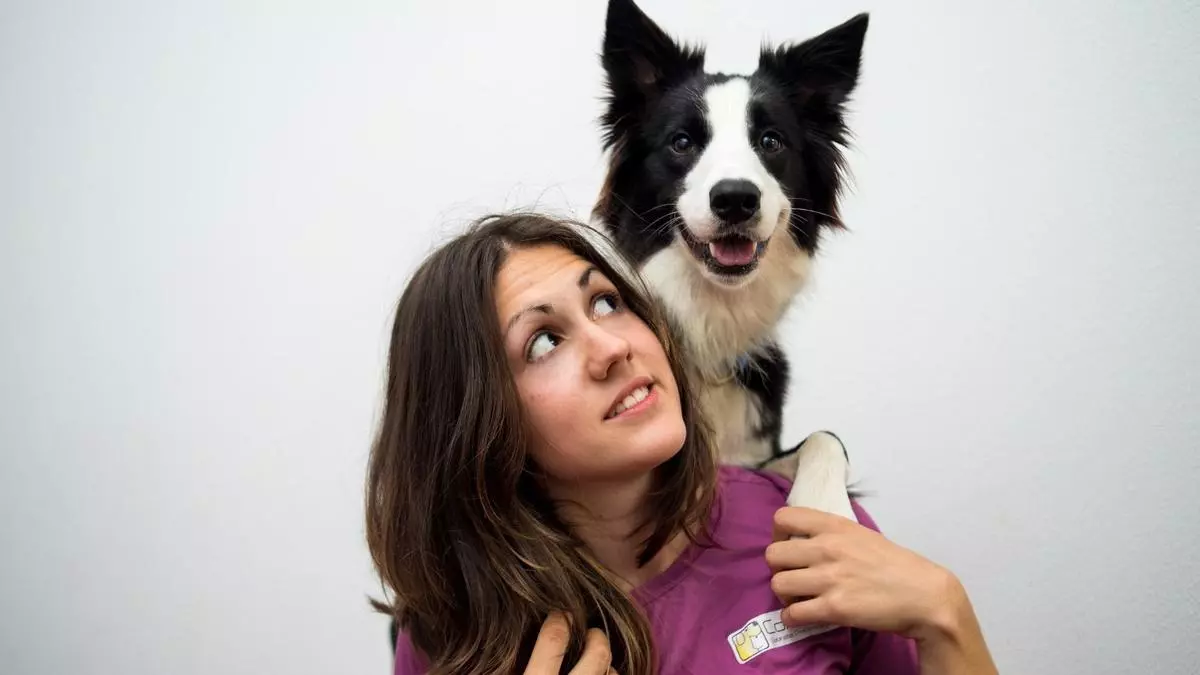 Qué raza de perro es la más recomendable para casos de soledad