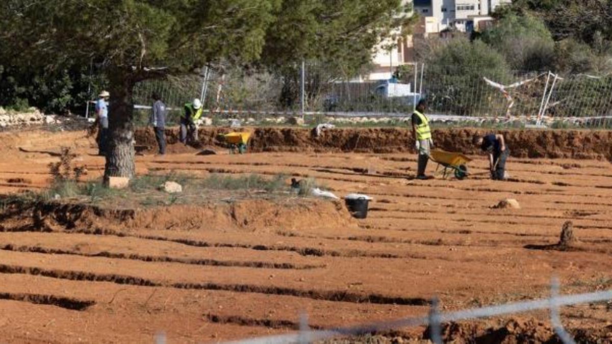 Los trabajos de excavación de las zanjas de cultivo halladas en el solar de Ca n’Escandell. | VICENT MARÍ