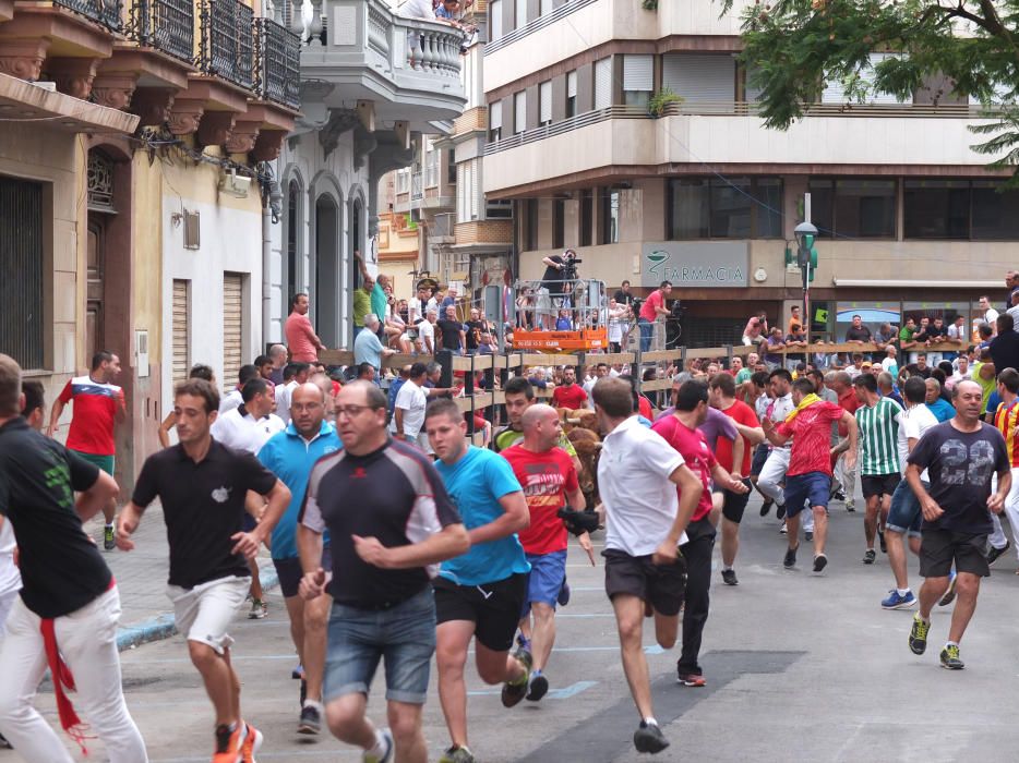 "Xupinasso" y primeros encierros en las fiestas de la Vall