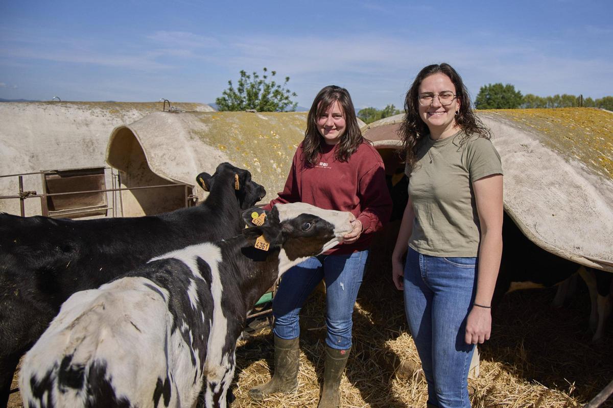 Montse i Maria Ciurana amb els vedells de la granja la Bimanera.