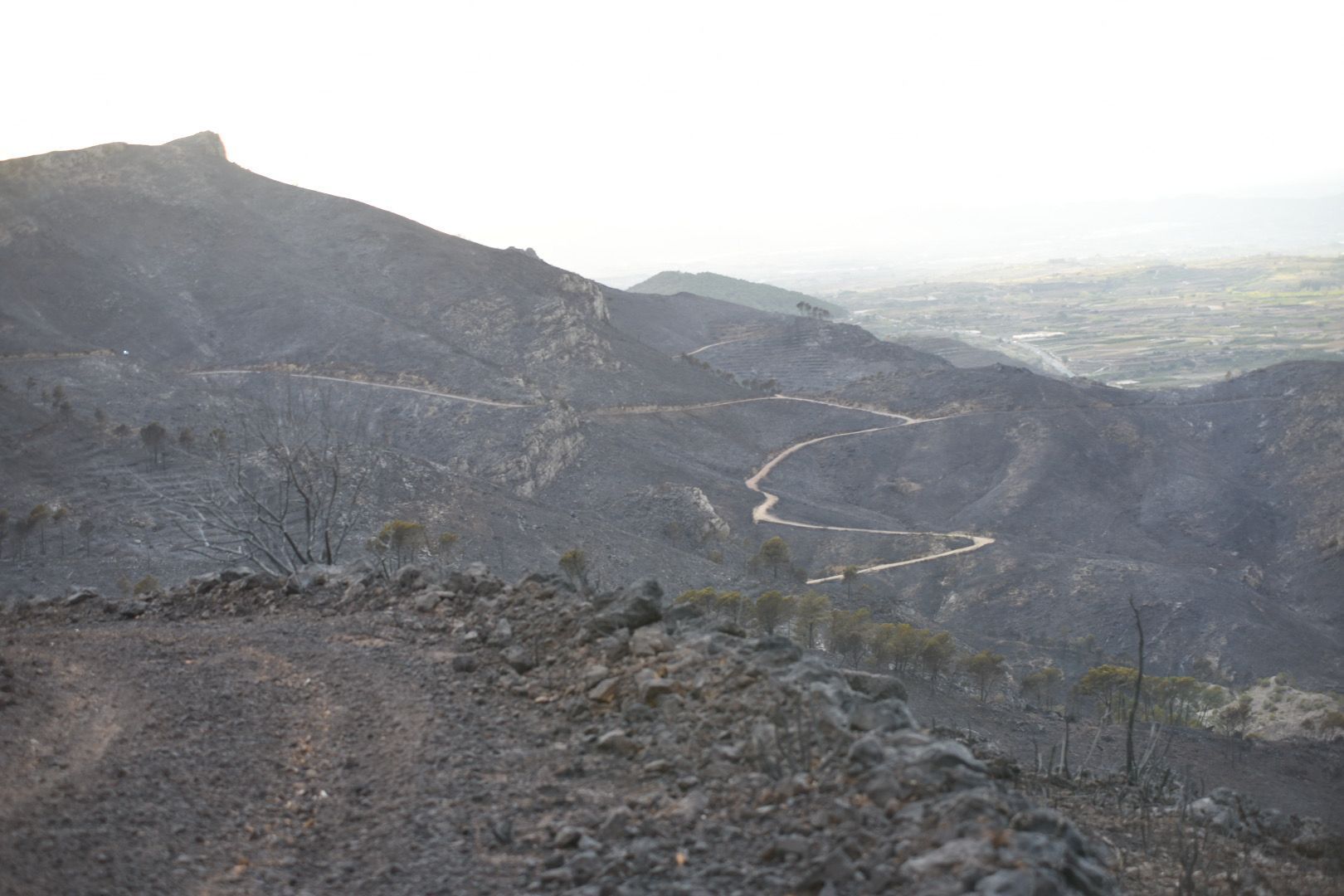 Impresionantes imágenes del incendio de la Safor desde Llocnou de Sant Jeroni