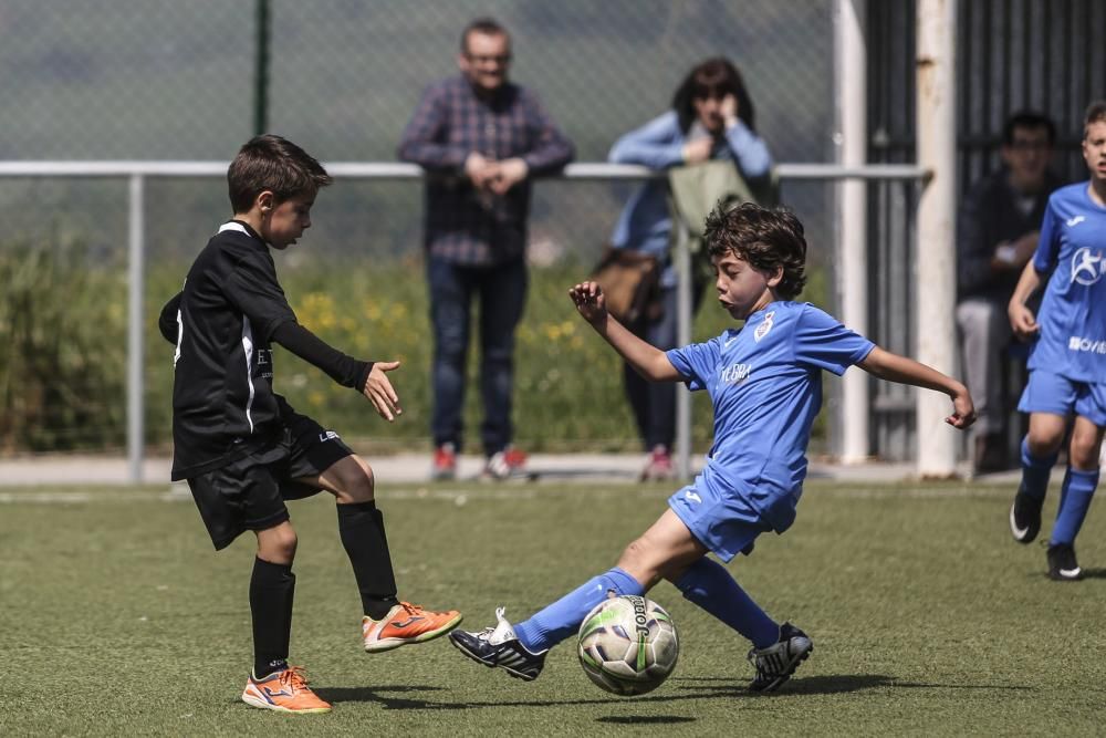 Partidos y actividades de la Oviedo Cup