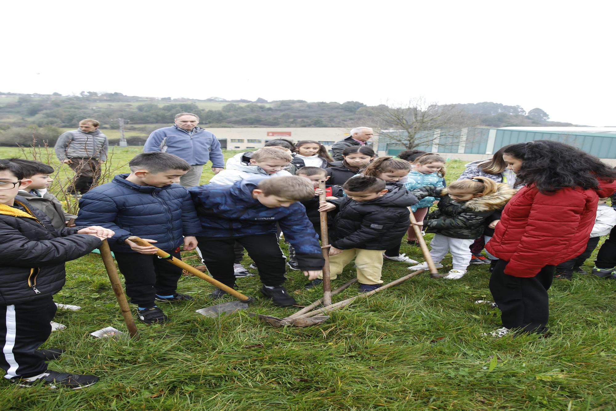 En imágenes: La alcaldesa de Gijón, en la plantación de árboles autóctonos en Somonte