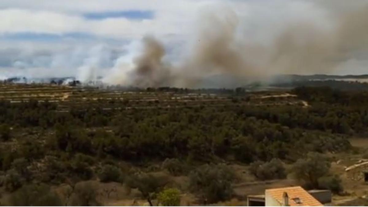 Imatge aèria de l'incendi a La Pobla de Massaluca