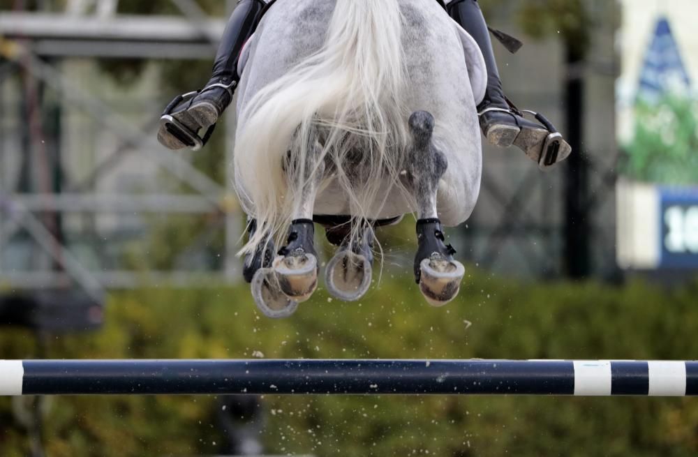 Genets i cavalls competeixen a la final de la Copa de Nacions, a Barcelona