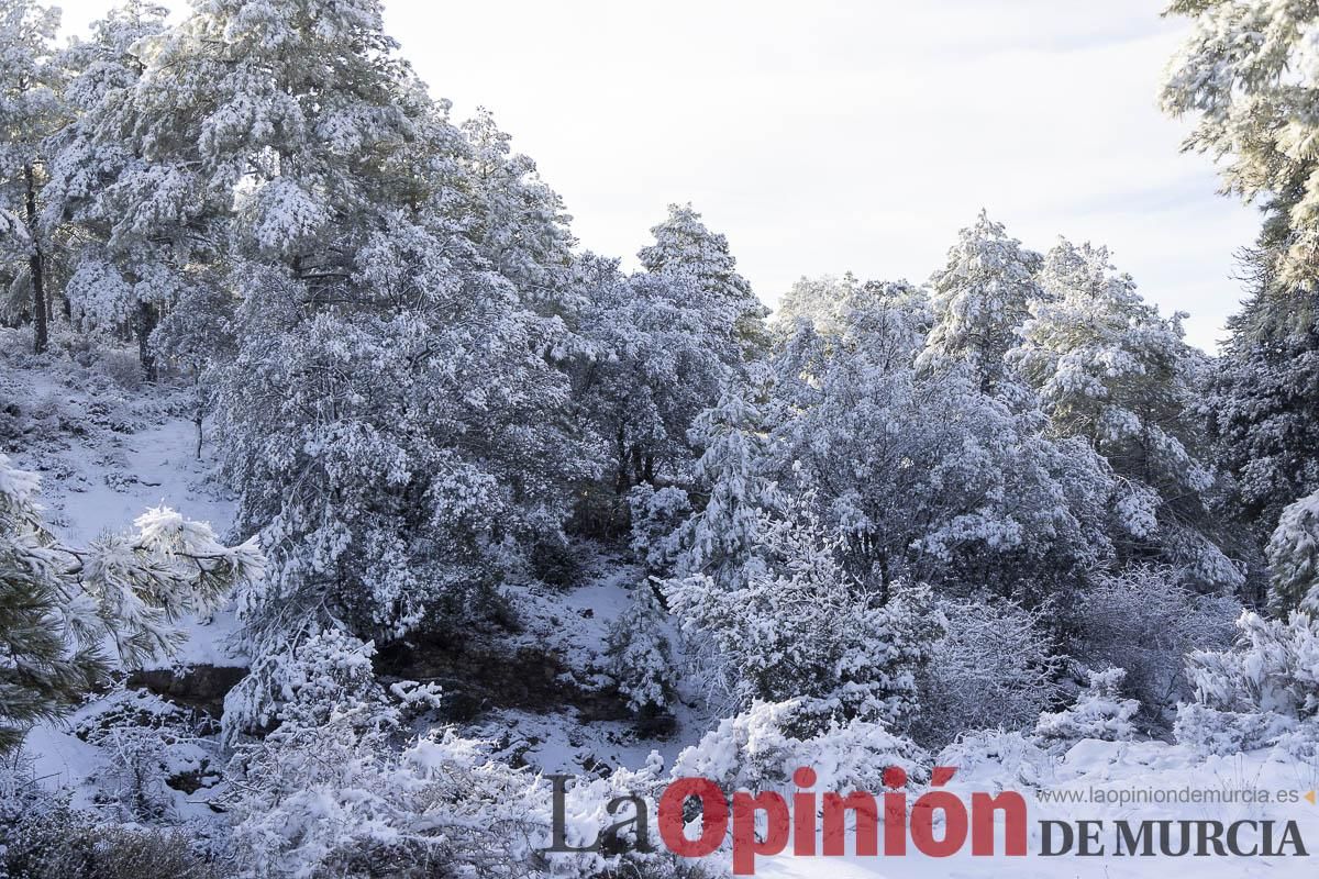 Descubre dónde queda acumulación de nieve en la Región de Murcia