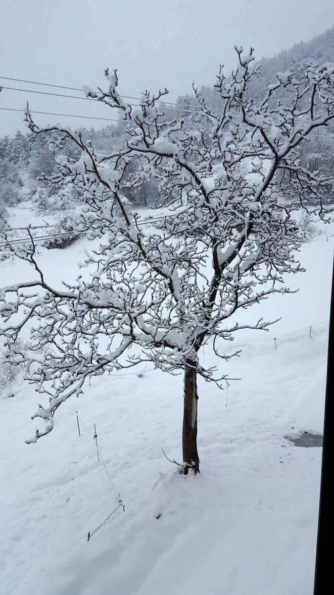 La nieve en primavera