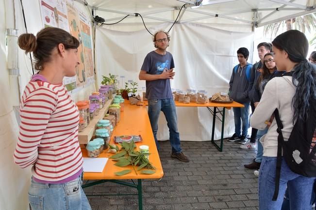 MINIFERIA SEMANA DE LA CIENCIA