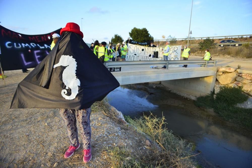 Manifestación en Los Alcázares por el ecocidio del Mar Menor