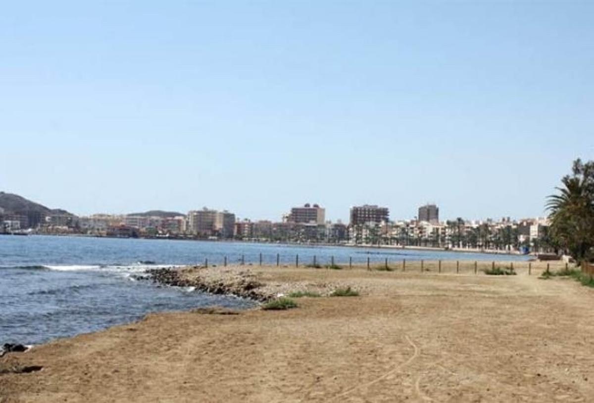 Playas para perros en la Región de Murcia