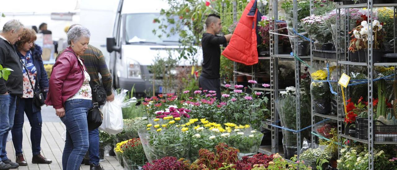 Las flores y plantas de Difuntos, otra víctima de la subida del combustible  y de la energía - Faro de Vigo