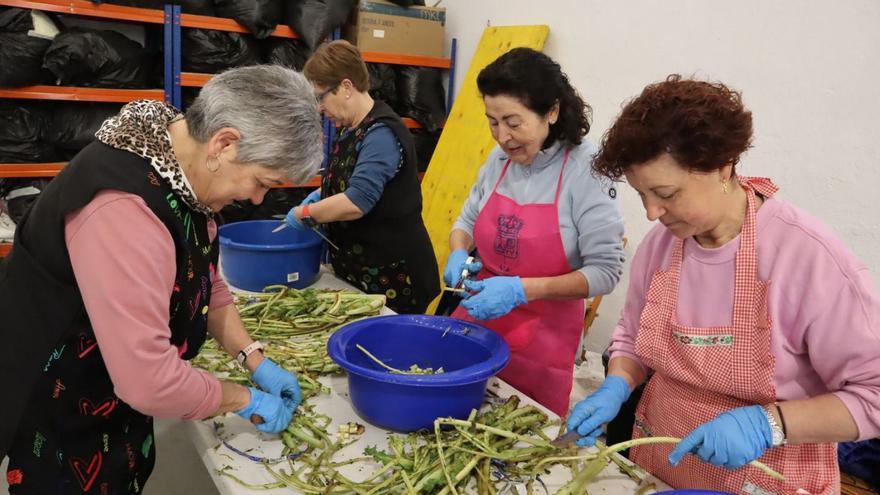 Voluntarias preparando las tagarninas para hacer el guiso.