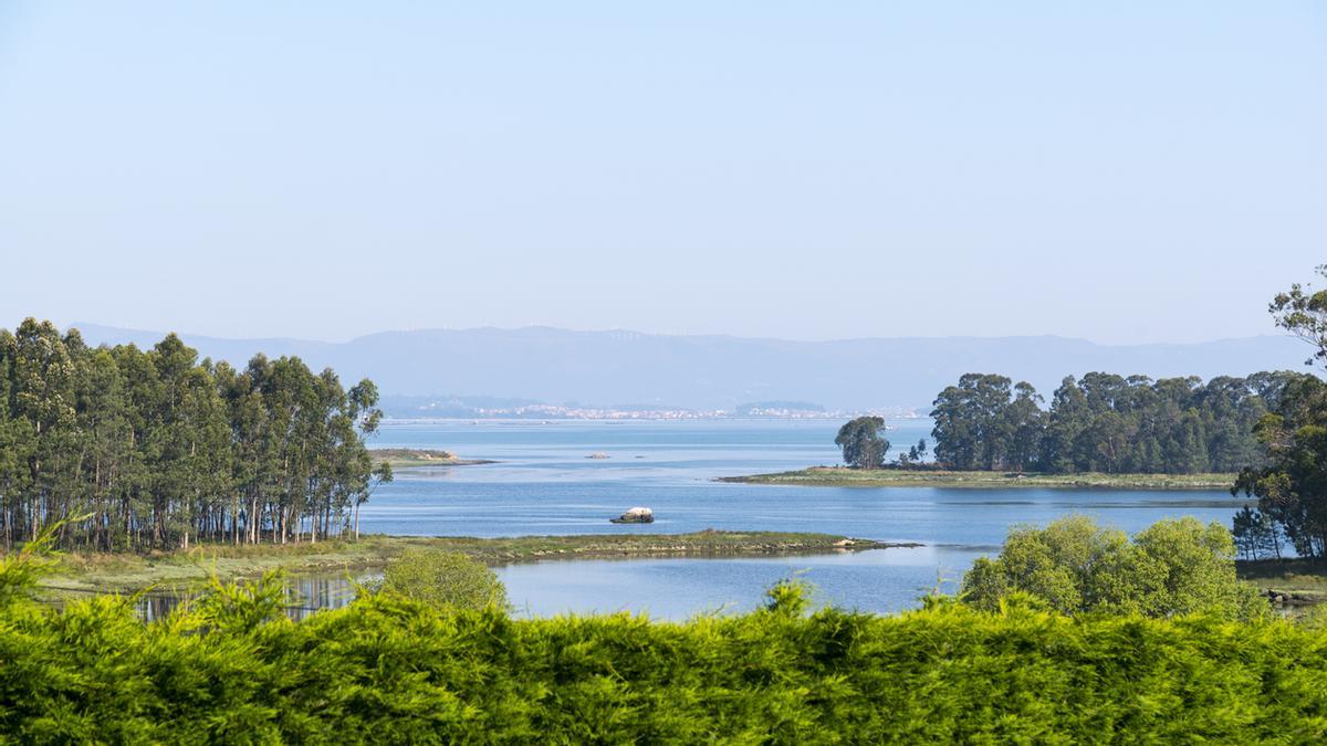 Parte de la ría de Arousa