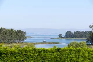 La mayor despensa del mejillón está en Galicia