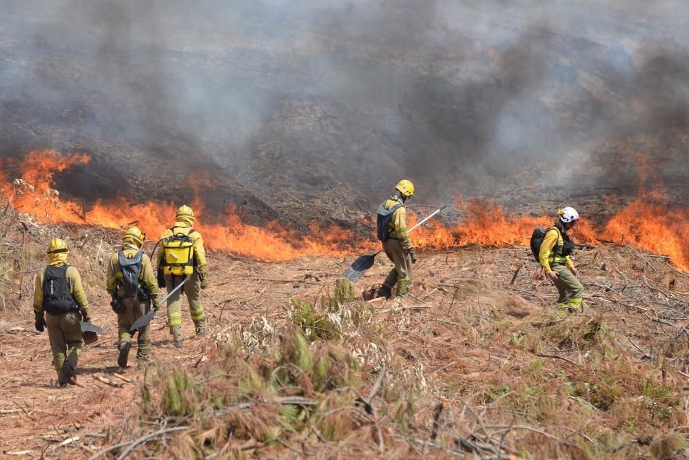 Incendio forestal en San Salvados de Meis