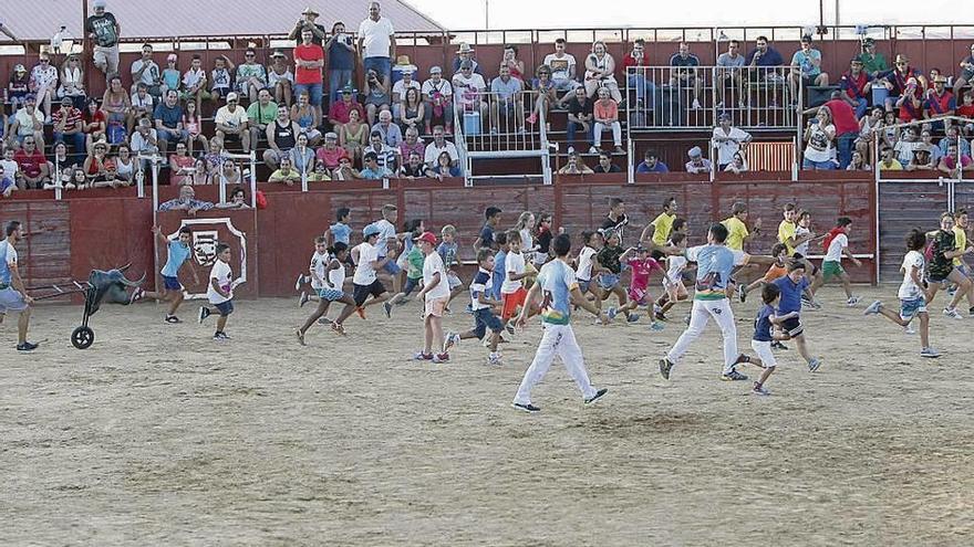 Encierro ecológico en la plaza de toros de Villalpando.