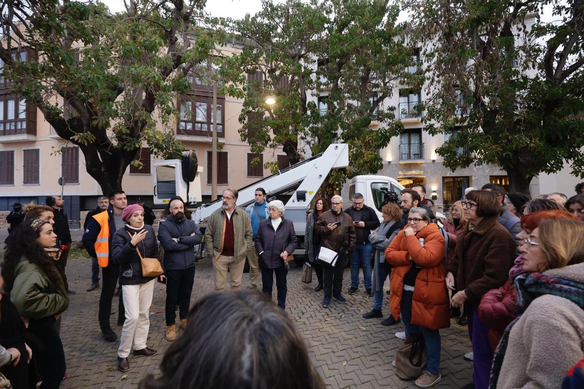 Los vecinos consiguen parar la tala de árboles en la plaza Llorenç ...