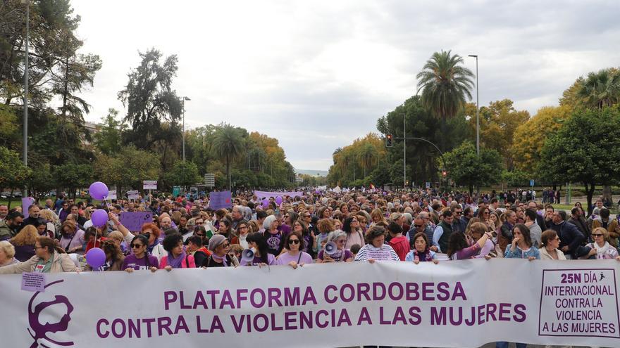 Una gran marcha recorre Córdoba para pedir mejores políticas públicas contra la violencia de género