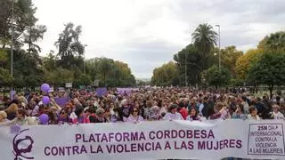 Una gran marcha recorre Córdoba para pedir mejores políticas públicas contra la violencia de género
