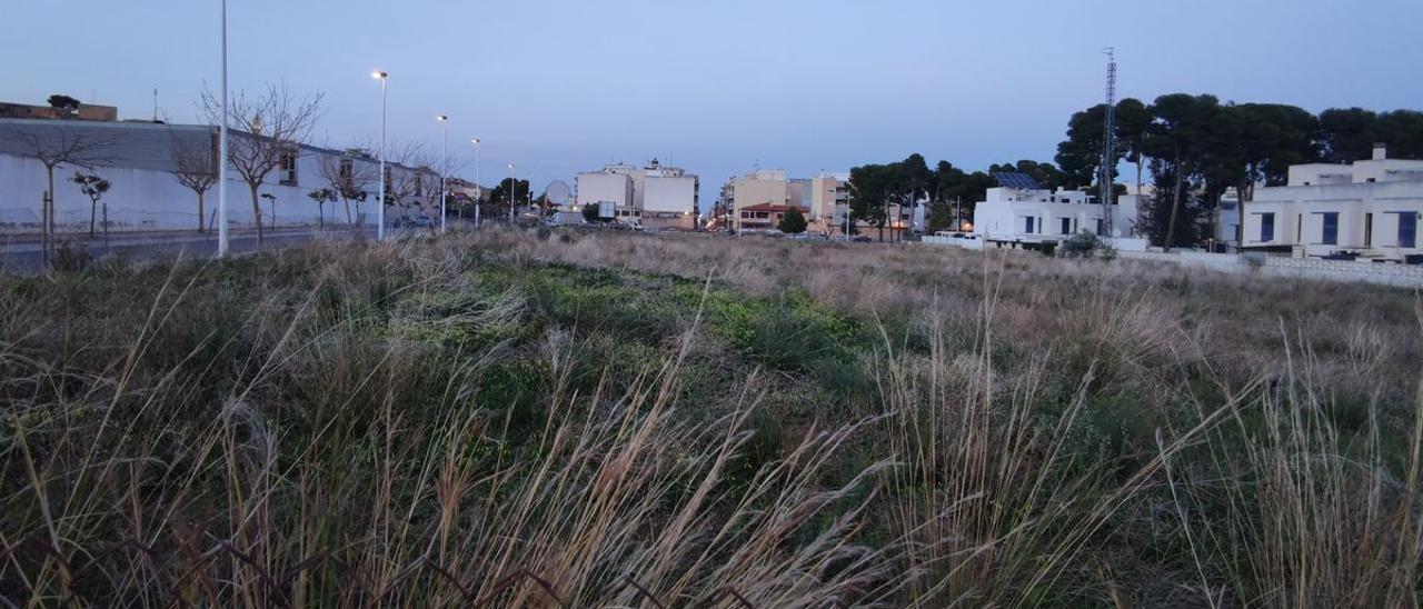 Imagen de los terrenos sobre los que se construirá la residencia para personas mayores de Orpesa.