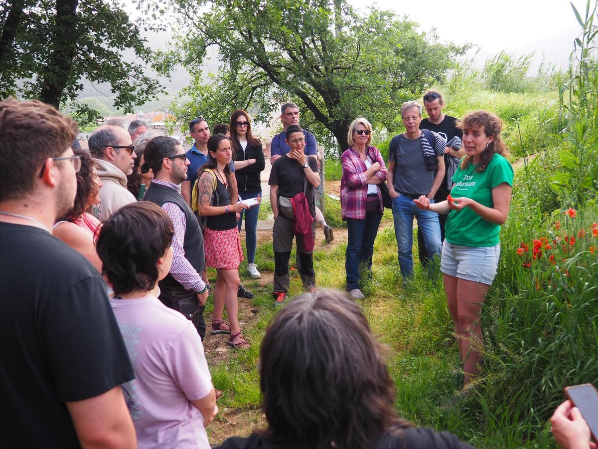 Una de les activitats del Mercat de les Herbes de Ratafia de Santa Coloma, en una edició passada.