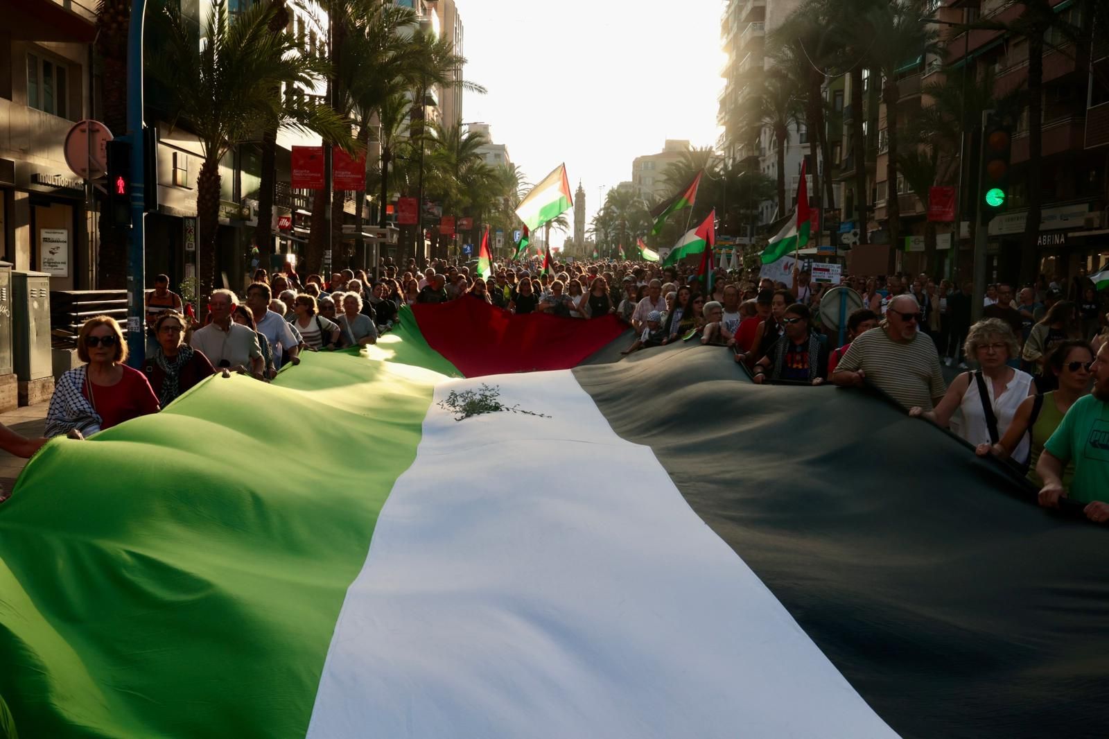 Más de 80 colectivos de Alicante se manifiestan a favor de Palestina