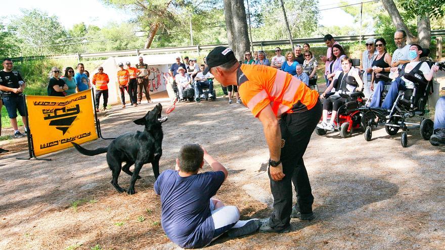 Los perros de la Unidad Canina de Búsqueda y Rescate de Castellón en plena acción en el Termet de Vila-real