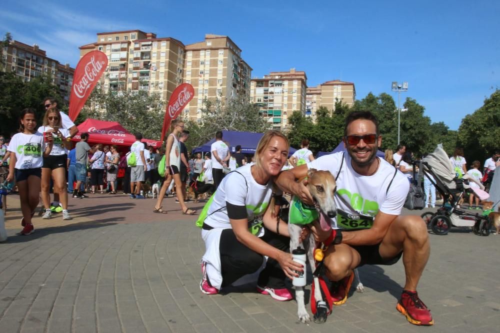 El Parque Huelin ha acogido la primera edición de un evento destinado a las mascotas y a sus dueños, con carreras en diversas categorías, actividades gratuitas y numerosos stands