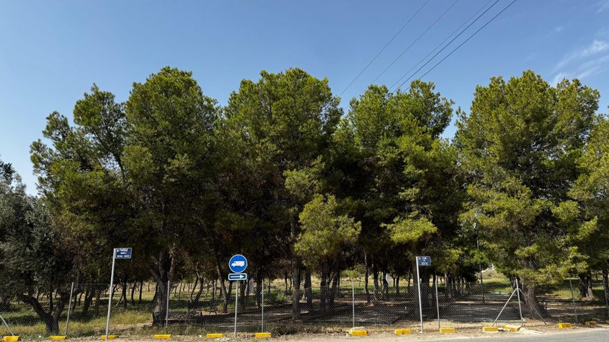 San Vicente desbloquea el pulmón verde largamente reivindicado