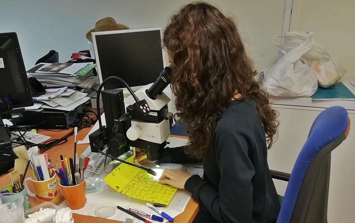 Irene Gutiérrez Almendros, biotecnóloga especializada en Horticultura.