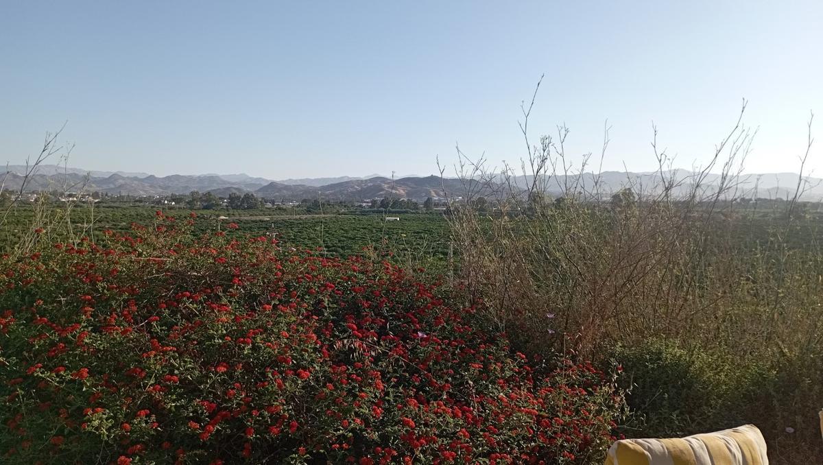 Vista parcial de la Vega de Mestanza, este martes.
