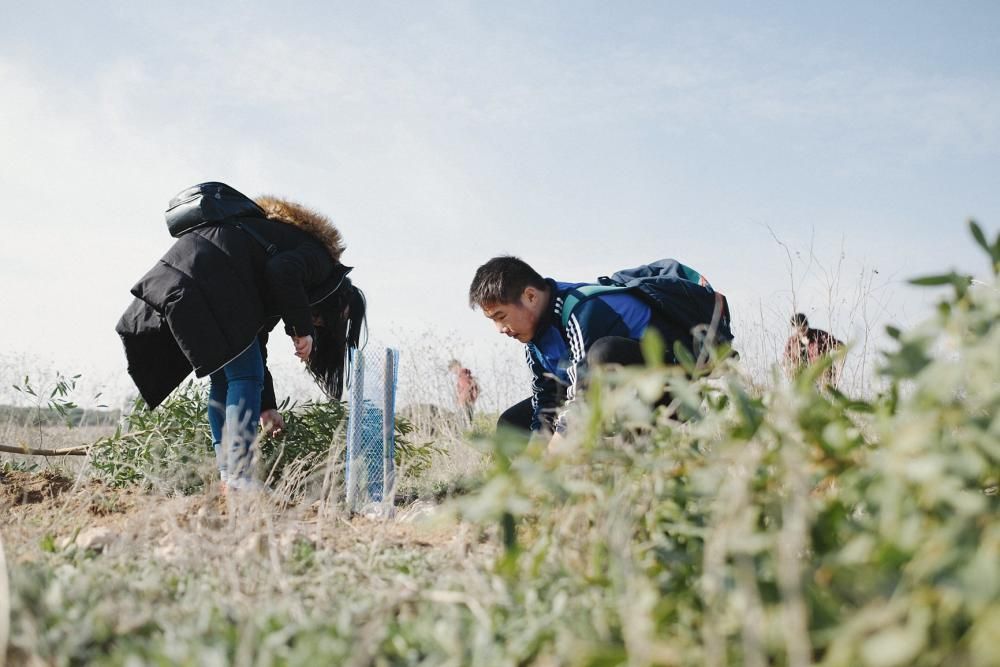 Plantación de especies autóctonas de alumnos del IES Mare Nostrum el día del arbol en el parque natural de las lagunas