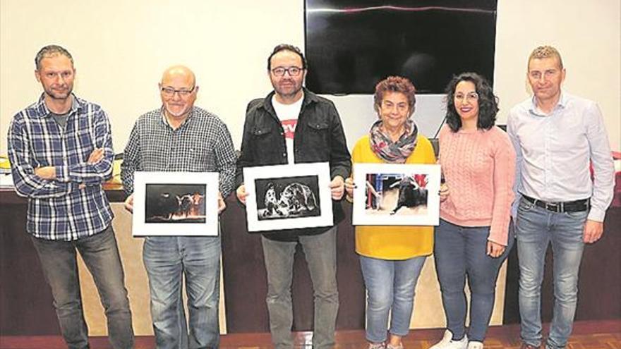 El Trapío elige a los ganadores del concurso de fotografía taurina