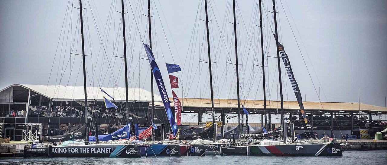 Los barcos de la Ocean Race Europe amarrados en el Muelle 12 a la espera de tomar la salida este mediodía. |