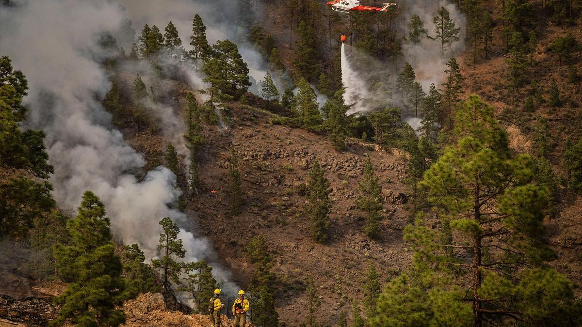 Uno de los cinco helicópteros del dispositivo arroja ayer agua sobre el fuego en los altos de Arico.