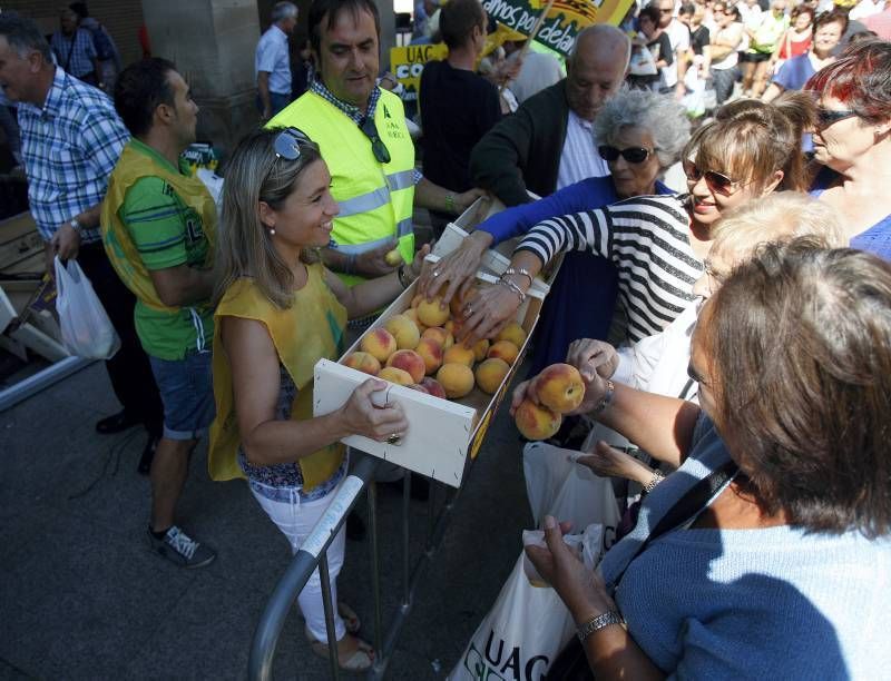 El sector reparte 4.000 kilos de fruta en la Plaza del Pilar