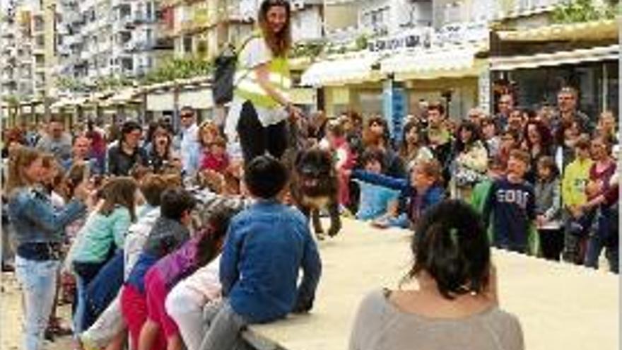 Un moment de la Desfilada Canina Solidària realitzada ahir a Blanes.