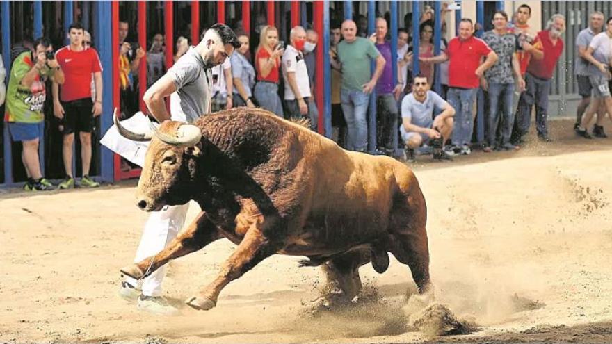 Vibrante inicio de Bous per la Vila en Almassora con recuerdo a ‘Chamaco’