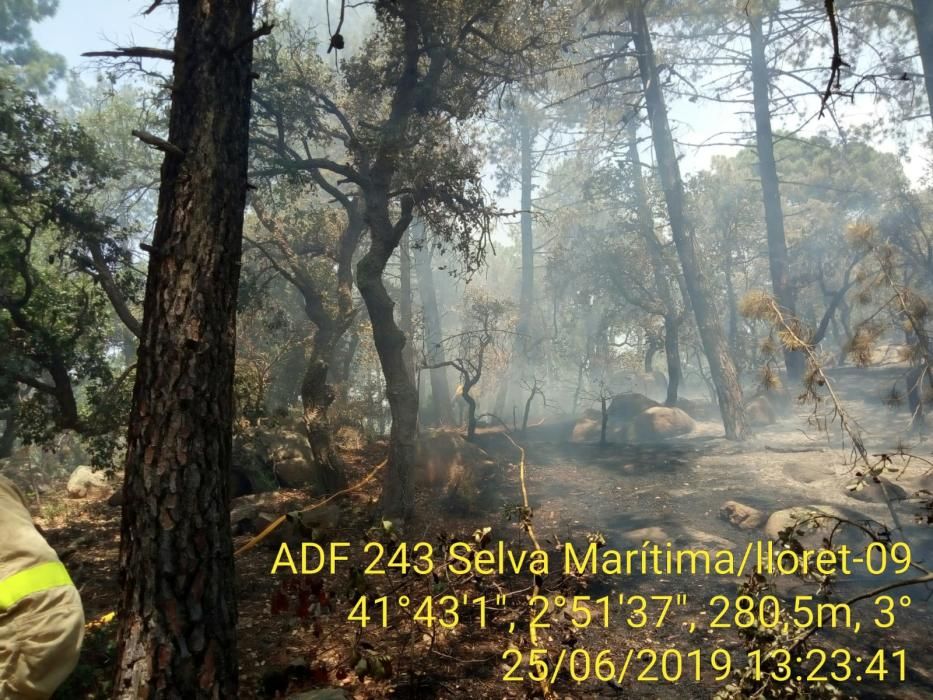 Incendi forestal en una urbanització de Lloret